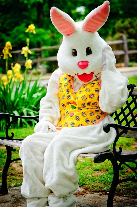 videos of the easter bunny